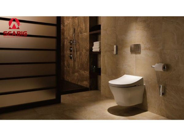 Bồn cầu viglacera âm tường