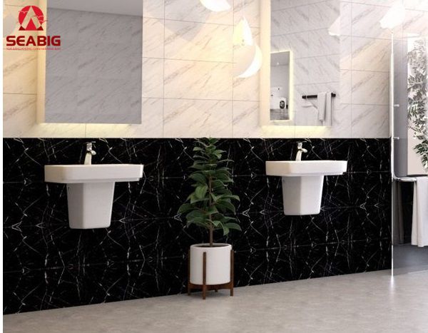 Chậu rửa treo tường Viglacera